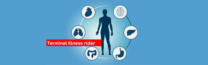 characteristics of insurance