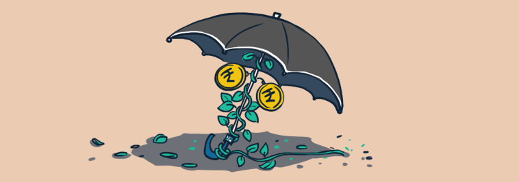 online insurance